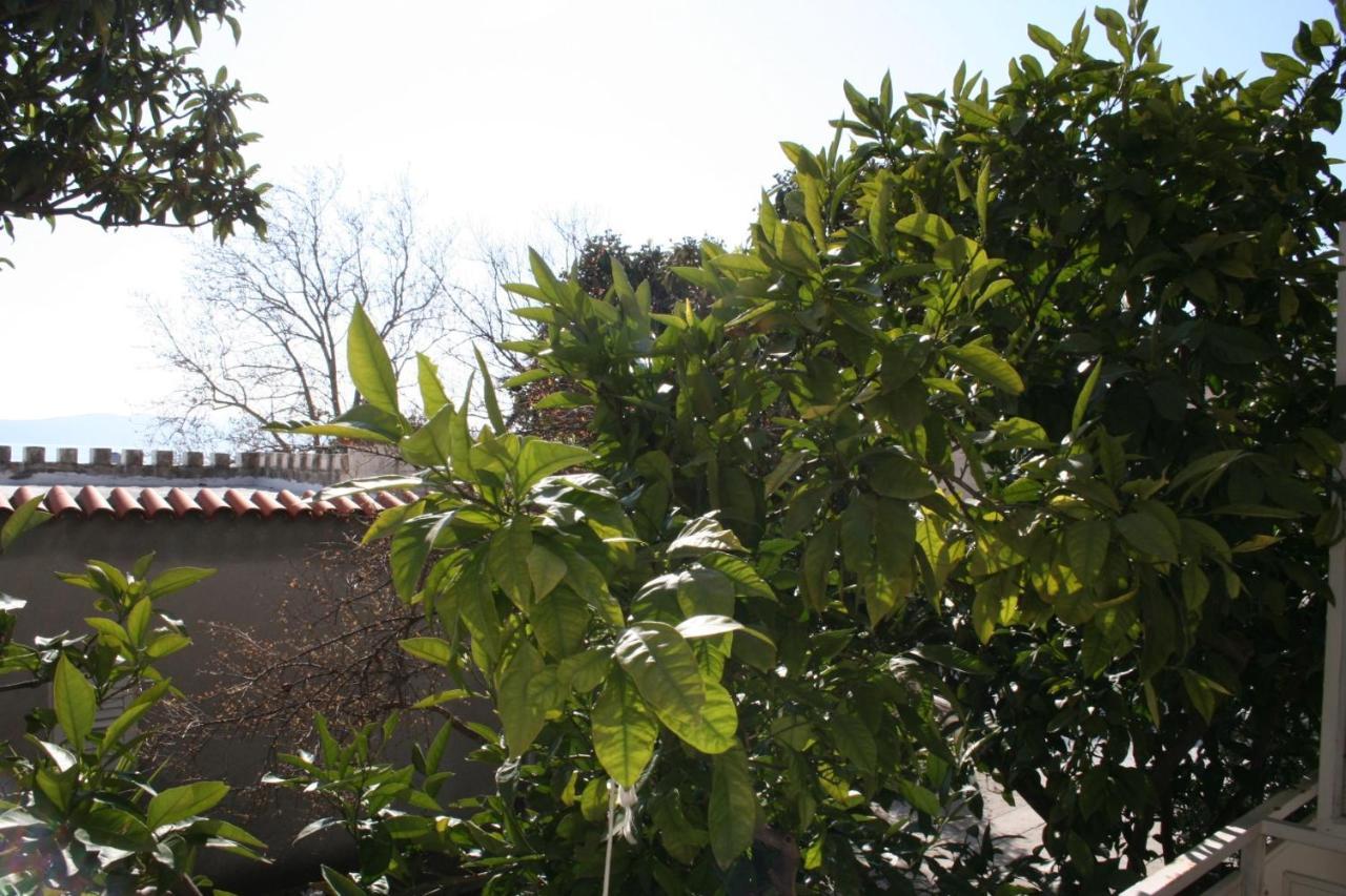 Apartments And Rooms By The Sea Baska Voda, Makarska - 2578 外观 照片
